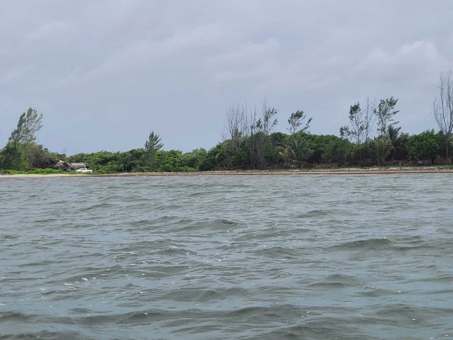 PL0001 – Lucrative Investment Opportunity: 3000 Feet of Beachfront Property in Hopkins, Belize - Photo 4