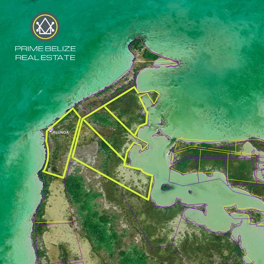 PI0049 – Four Prime Waterfront Parcels West Side of Ambergris Caye, Belize - Photo 5