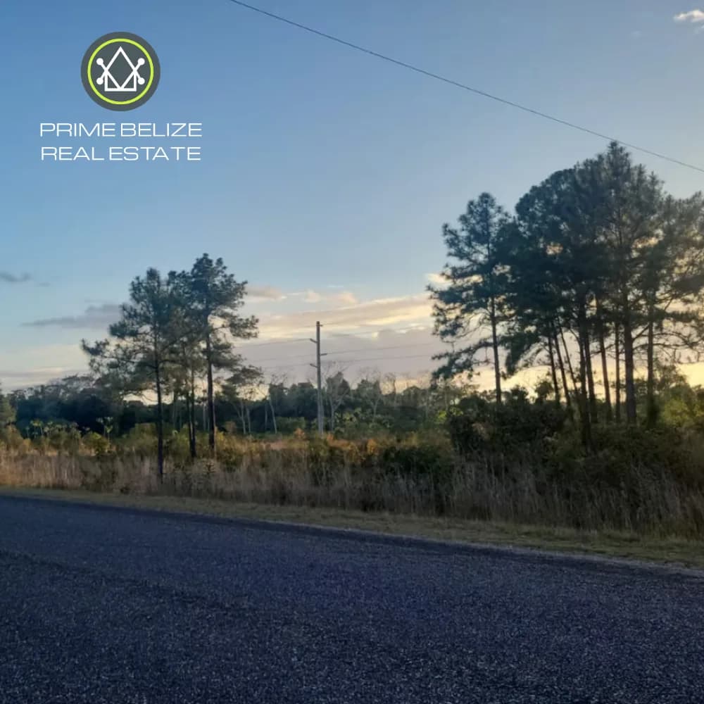PF0067 – 100-Acre Commercial Farmland for Sale – Southern Highway, Belize