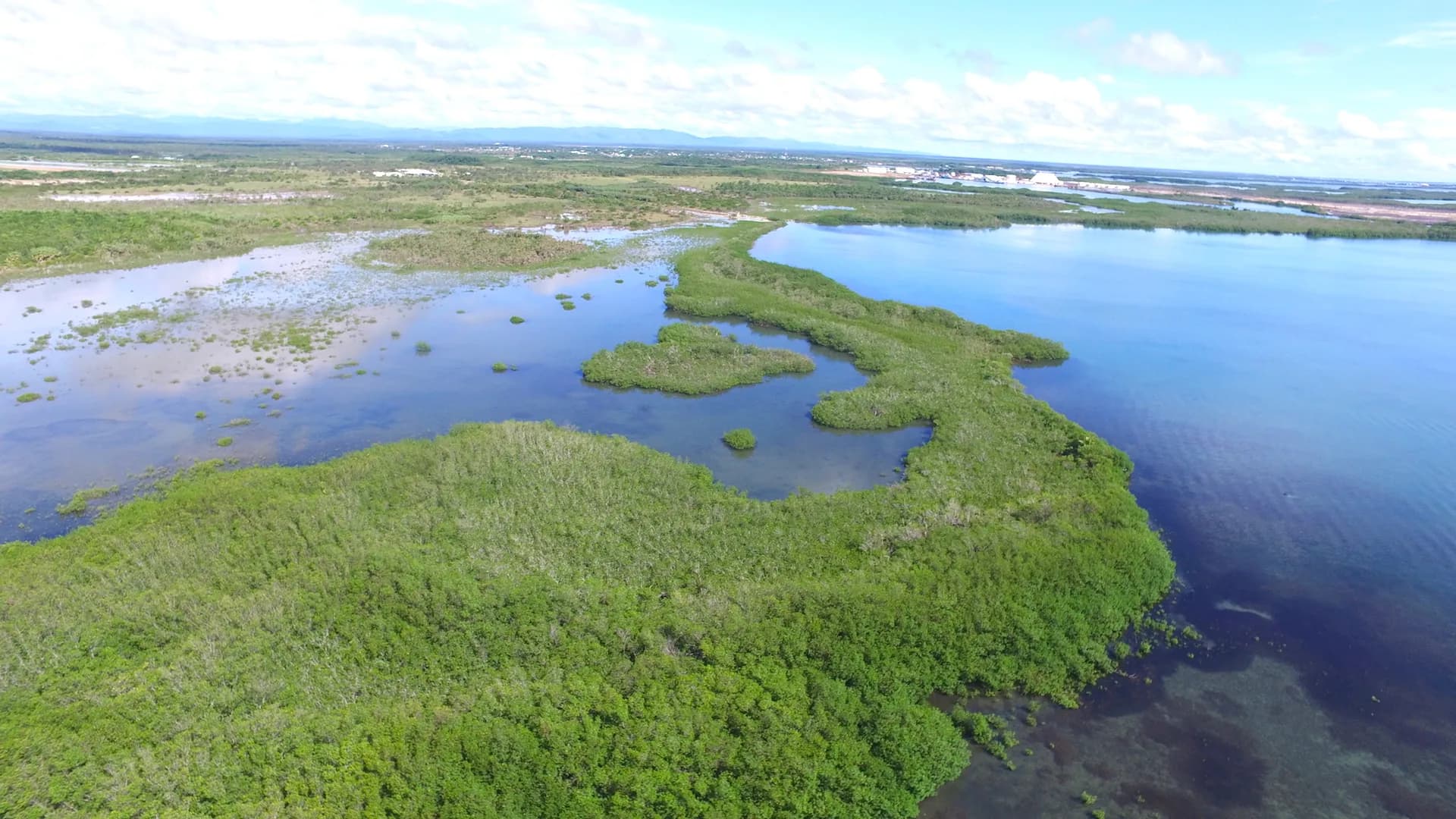 PL0007 – Property of 117 acres in close proximity to Harvest Caye. - Photo 6
