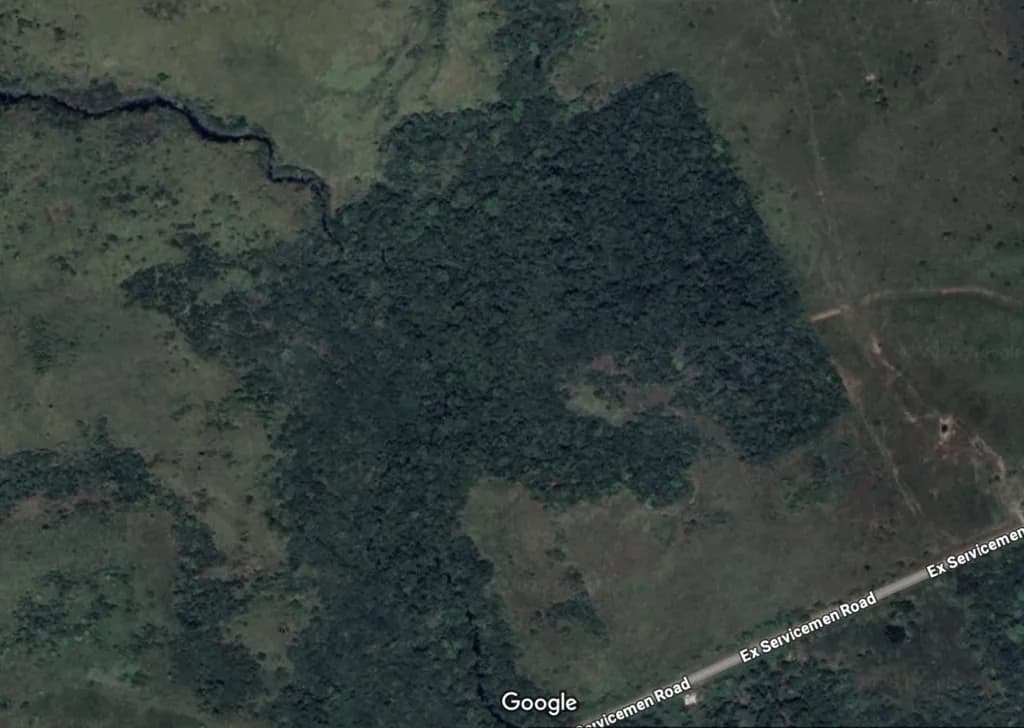 PF0044 – 1,200+ Acres of Prime Farmland – Ideal for Cattle