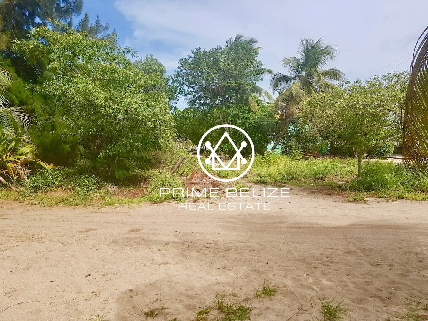 PL0004 – Commercial Beachfront Parcel in Placencia Village - Photo 8