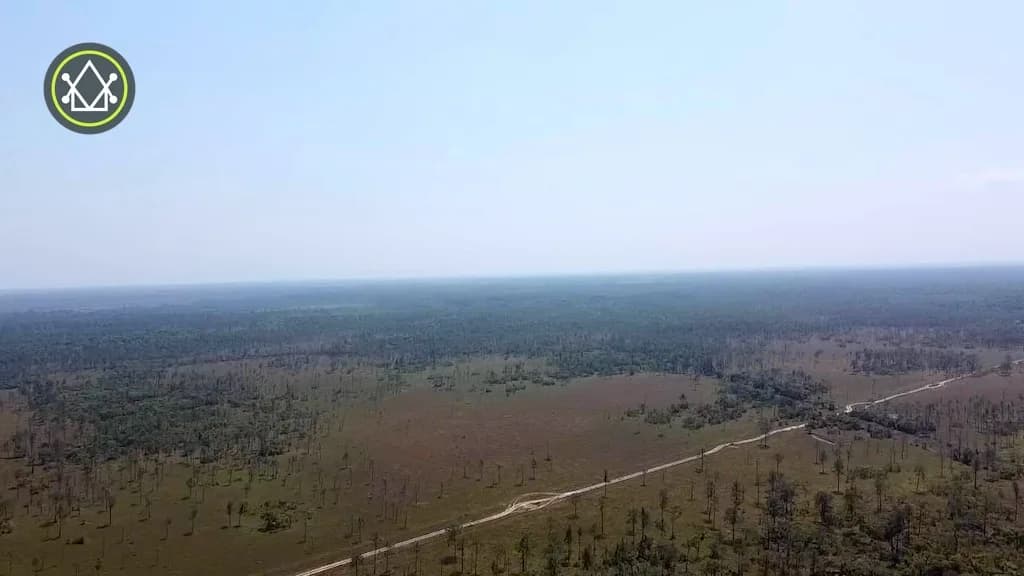 PF0015 – Untouched Riverfront Land for Sale in Monkey River, Toledo - Photo 5