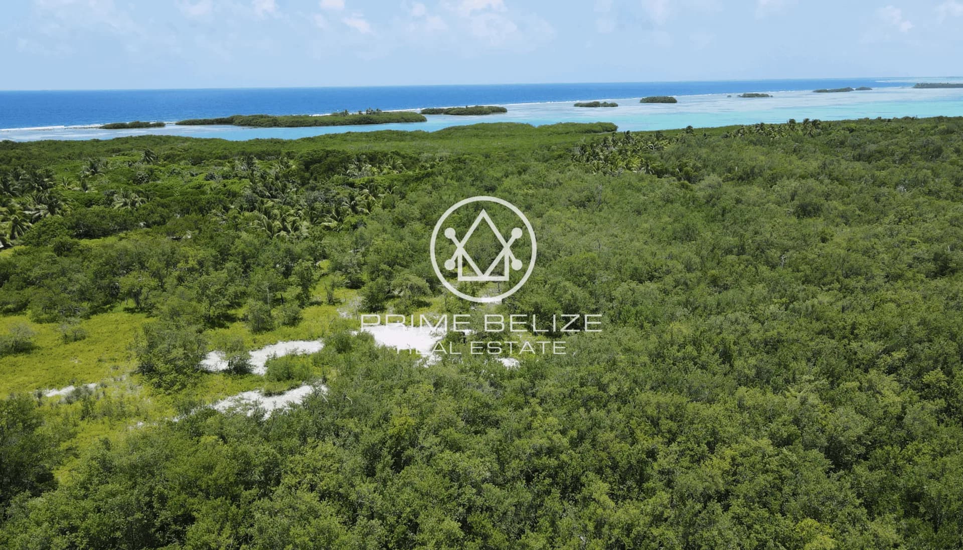 PI0039-Turneffe Atoll, Belize–200.10 Acres Undeveloped Island just 25 miles from Belize City - Photo 6