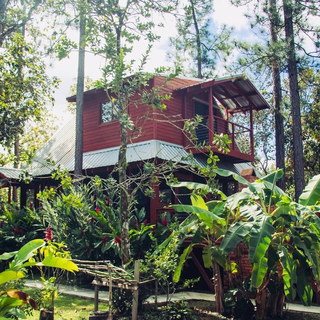 PB0011 – Turn-Key Property and Business – Mountain Pine Ridge, Cayo District - Photo 3