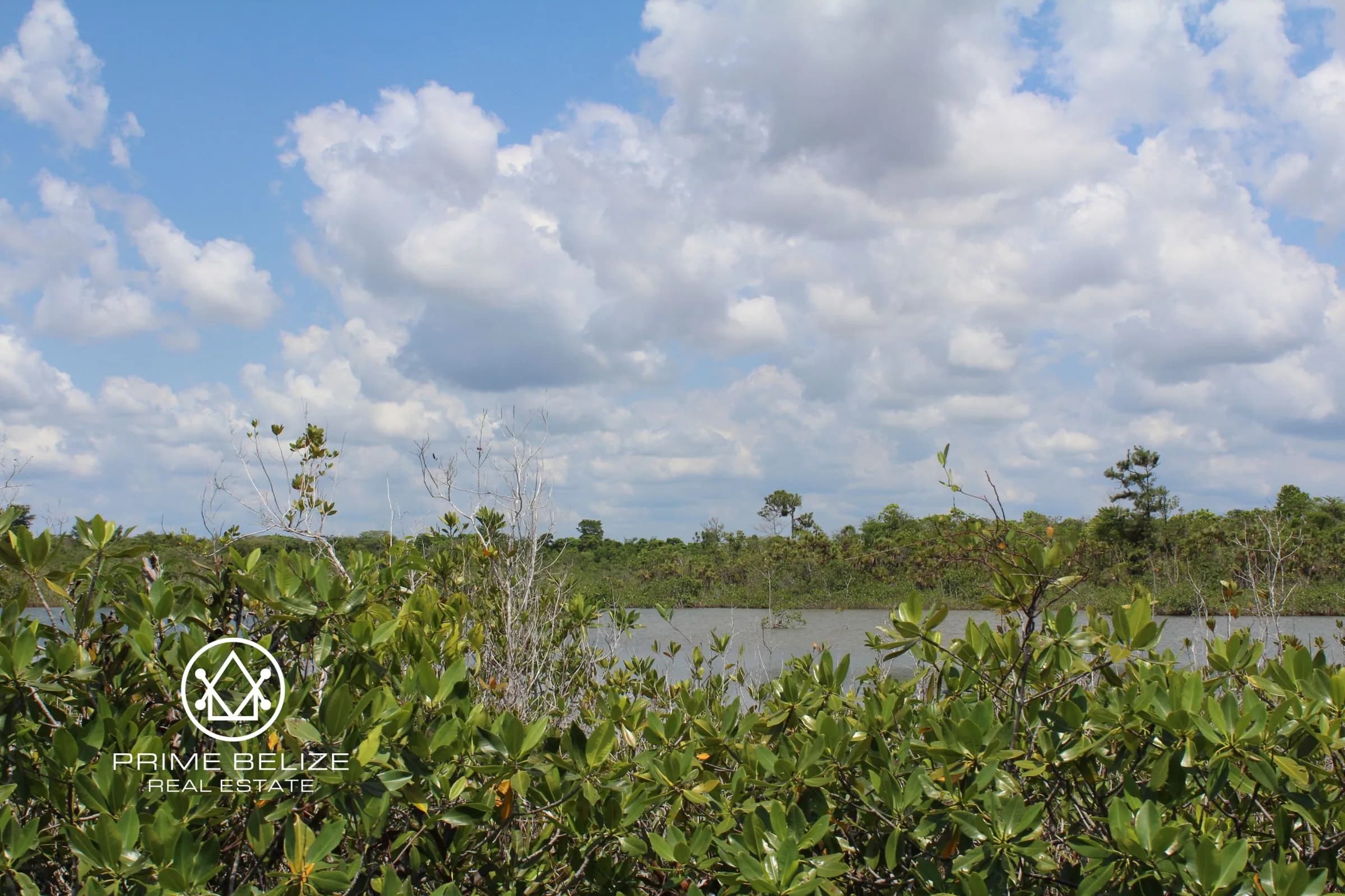PL0015 – Extraordinary 100 Acre Parcel near Mango Creek - Photo 8