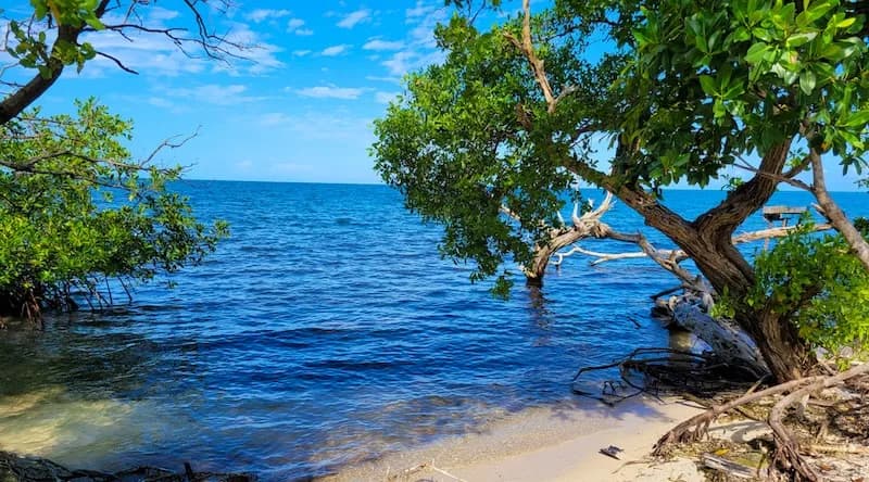 PI0037 – 2.4-Acre Oceanfront Property on the Tobacco Caye Range – Belize - Photo 6