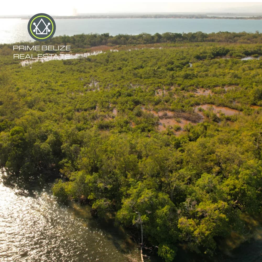 PI0014 – Exclusive Development Opportunity: 43.8-Acre False Caye Island, Just Off Placencia’s Coast - Photo 5