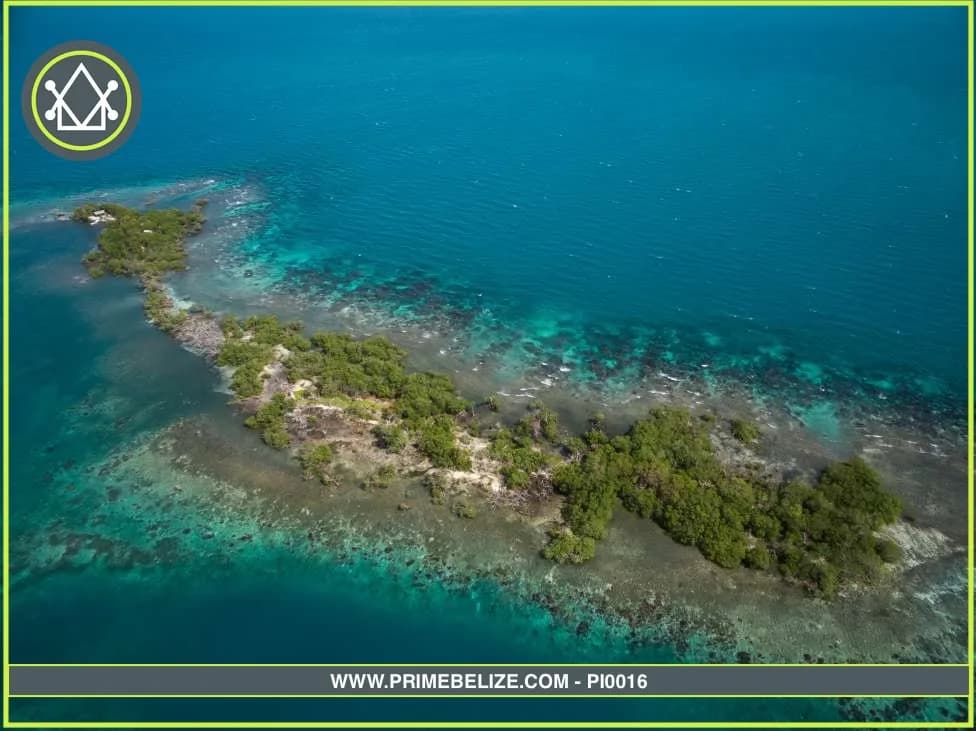 PI0016 – South Saddle Caye