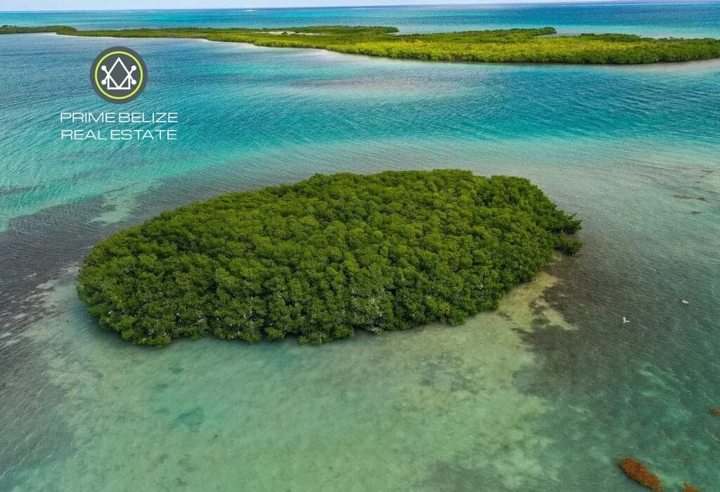 PI0042 – Private Island For Sale – Bluefield Range, Belize - Photo 2
