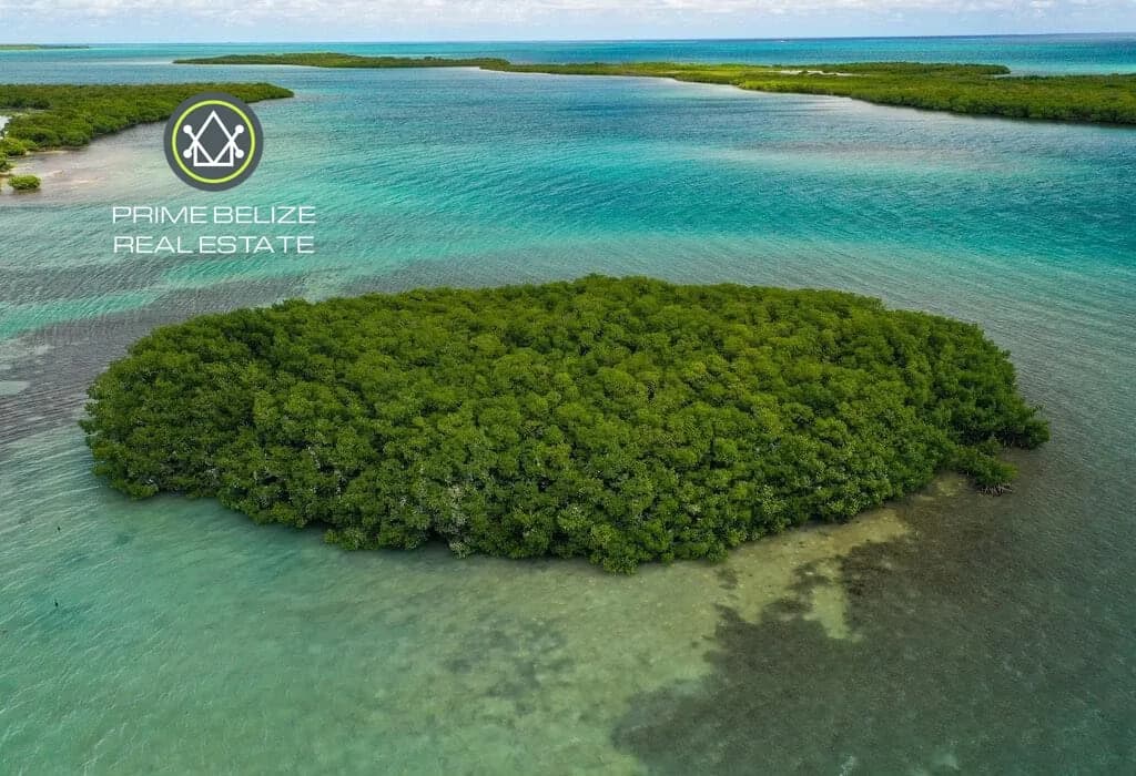 PI0042 – Private Island For Sale – Bluefield Range, Belize