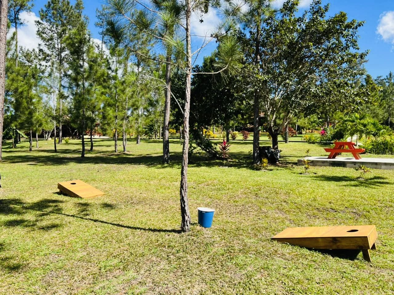 PB0011 – Turn-Key Property and Business – Mountain Pine Ridge, Cayo District - Photo 7