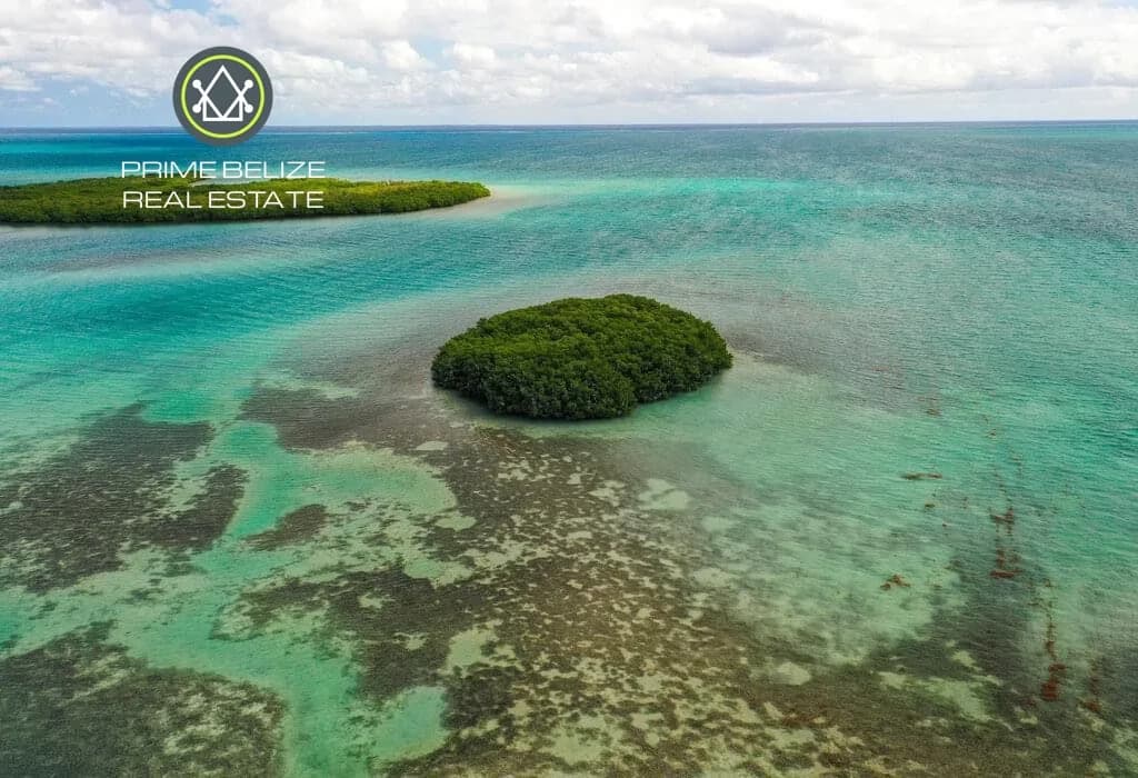 PI0042 – Private Island For Sale – Bluefield Range, Belize - Photo 6