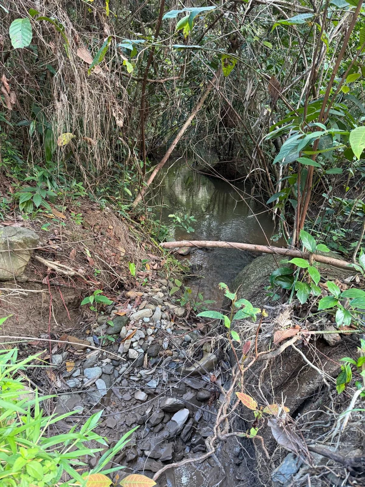 PF0056 – 30 Acres of Fertile Land with Streams – Coastal Road, Belize - Photo 3