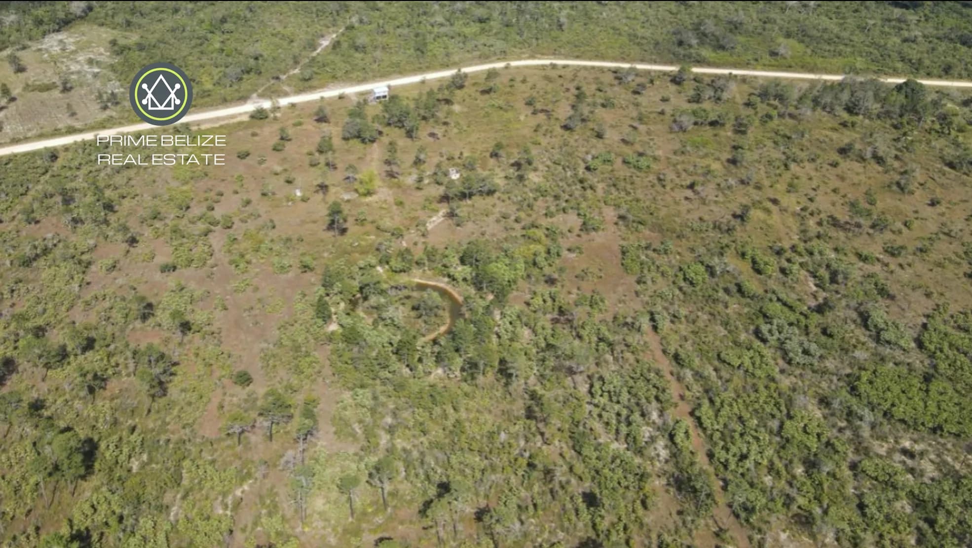 PF0060 – 50+ Acres of Fertile Farmland in the Cayo District, Belize - Photo 6