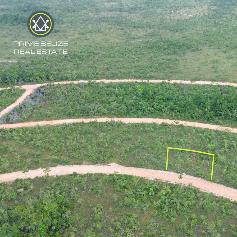 PL0248 – Build Your Belize Dream in a Wellness-Focused, Nature-Centered Community, Holistica Belize - Photo 3