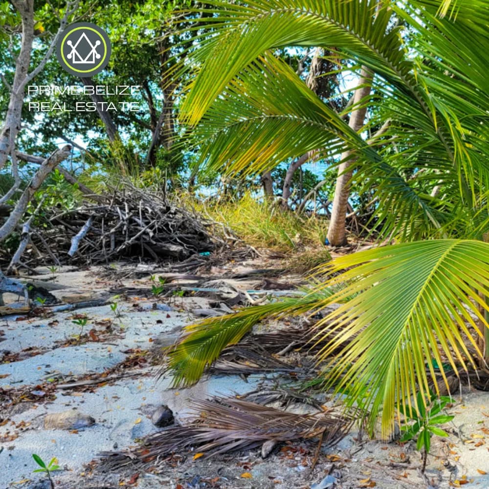 PI0051 – Tobacco Caye Range Plot 5 & 6 For Sale - Photo 6