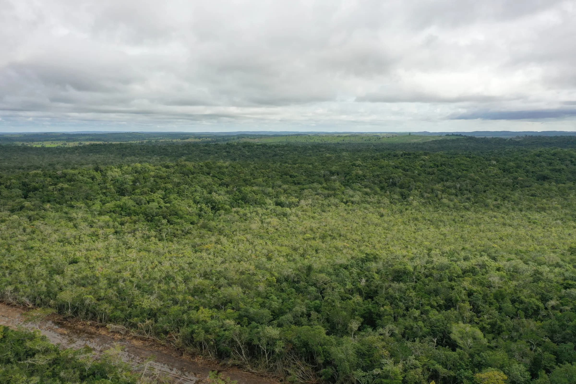 PF0011 – 13,000 acres of exceptional ecological value - Photo 7