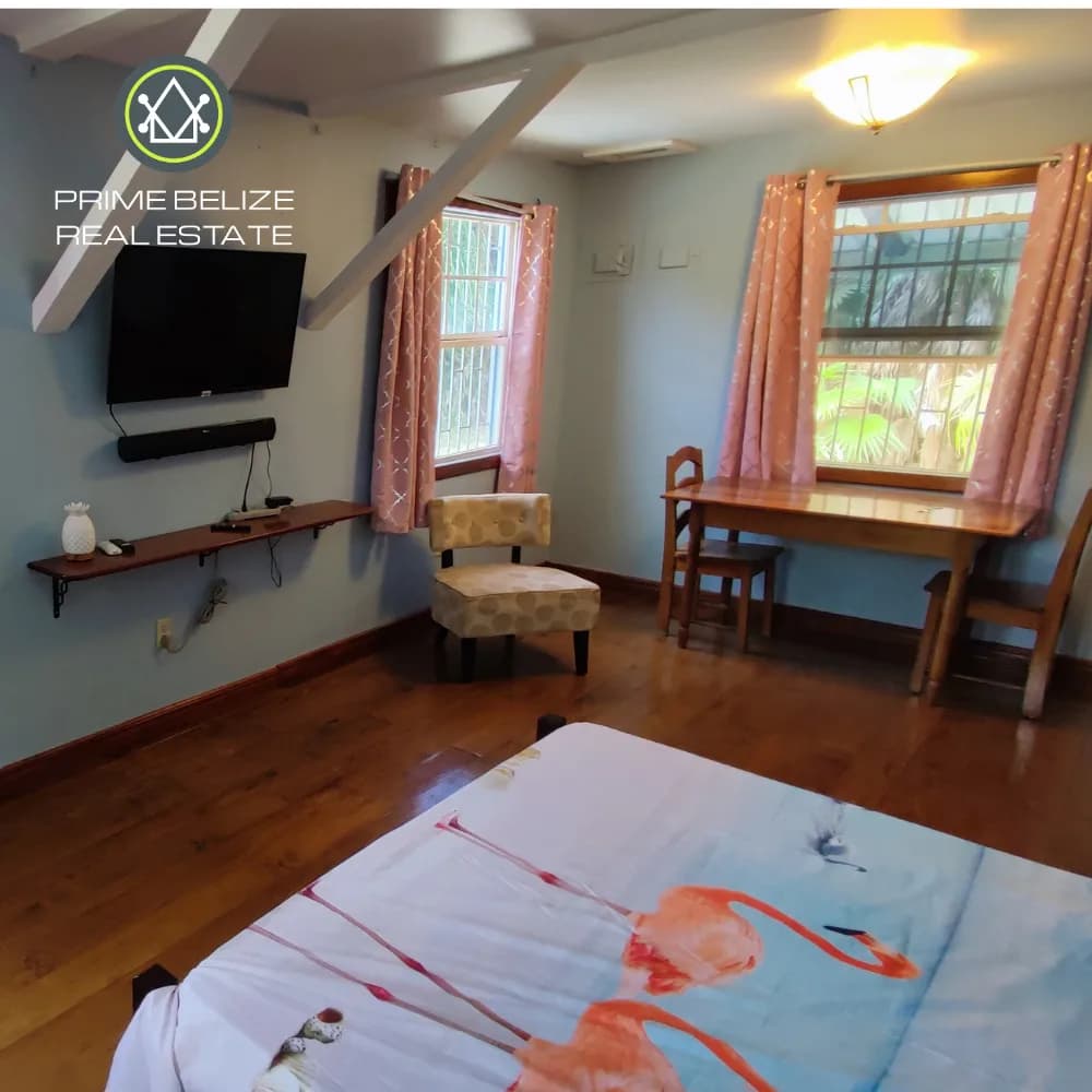 PH0071 – The Mural House – Prime Canal Front & Road Front Property in Placencia, Belize - Photo 4