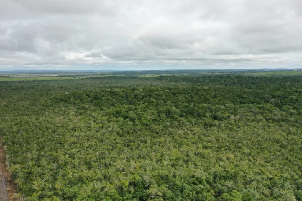 PF0011 – 13,000 acres of exceptional ecological value
