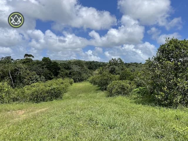 PF0025 – Serene 24-Acre Property with Stream Frontage – Coastal Highway - Photo 5