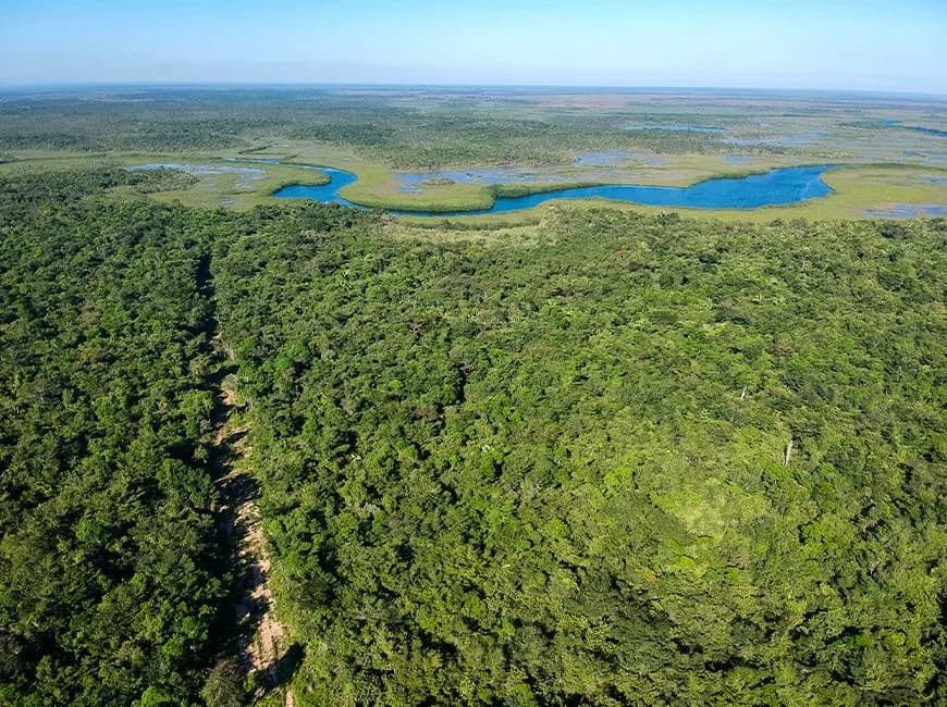 PF0030 – 7,000 Acres of Prime Farmland for Sale in Toledo! - Photo 6