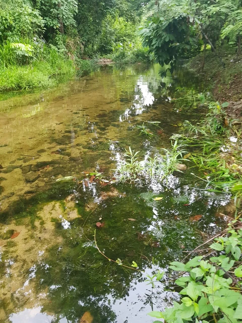 PL0010 – 200 Acre Property presenting an enticing investment opportunity. - Photo 6