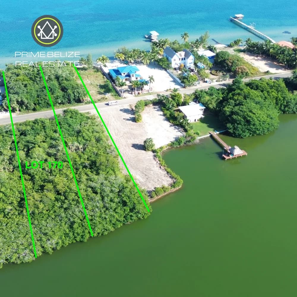 PL0216 – Lagoon front Lot in Its Natural State – Plantation, Placencia Peninsula - Photo 2