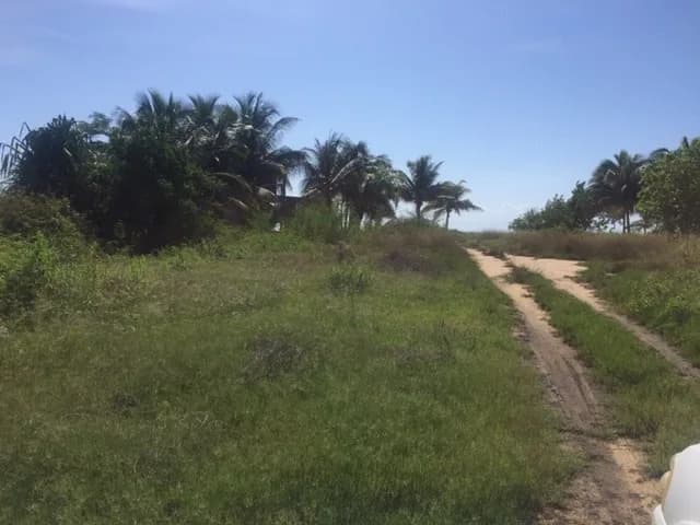 PL0098 – 1.15 Acre Prime Beachfront Property for Sale in Commerce Bight, Dangriga Town - Photo 3