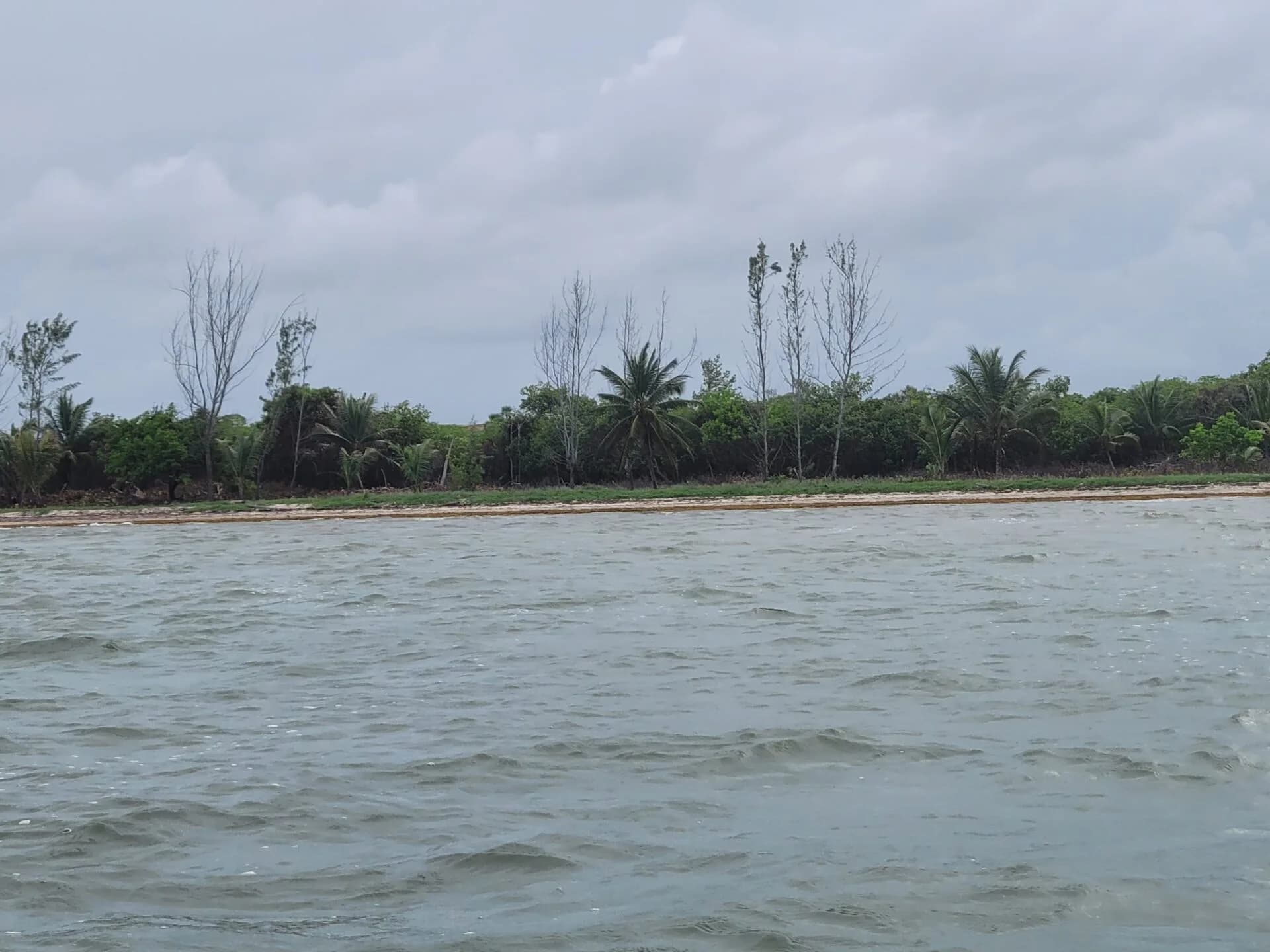 PL0001 – Lucrative Investment Opportunity: 3000 Feet of Beachfront Property in Hopkins, Belize - Photo 3