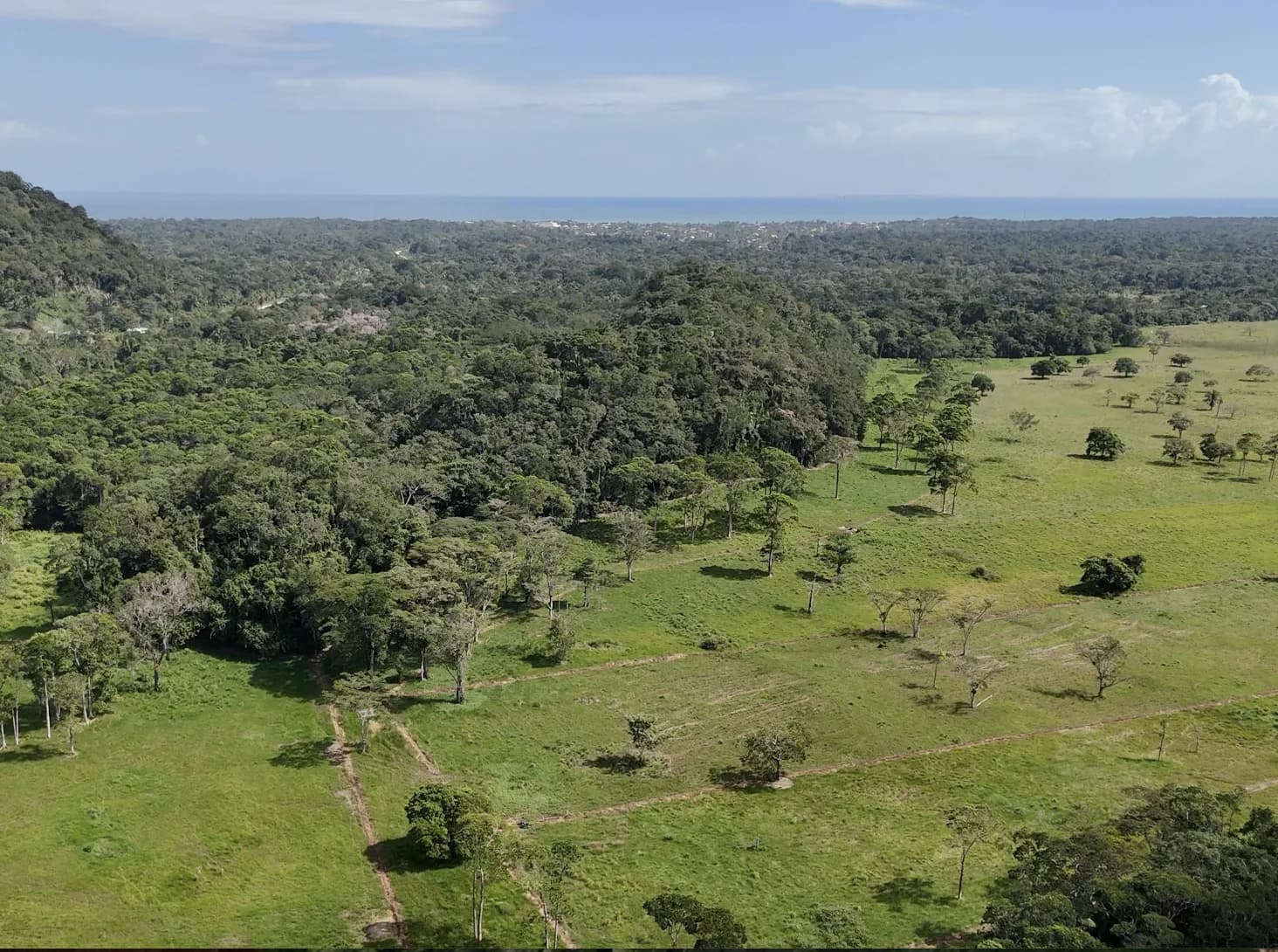 PF0036 – Belize Ranch For Sale – Stunning 470+ Acres with Year-Round Creek and Breathtaking Mountain Views - Photo 4