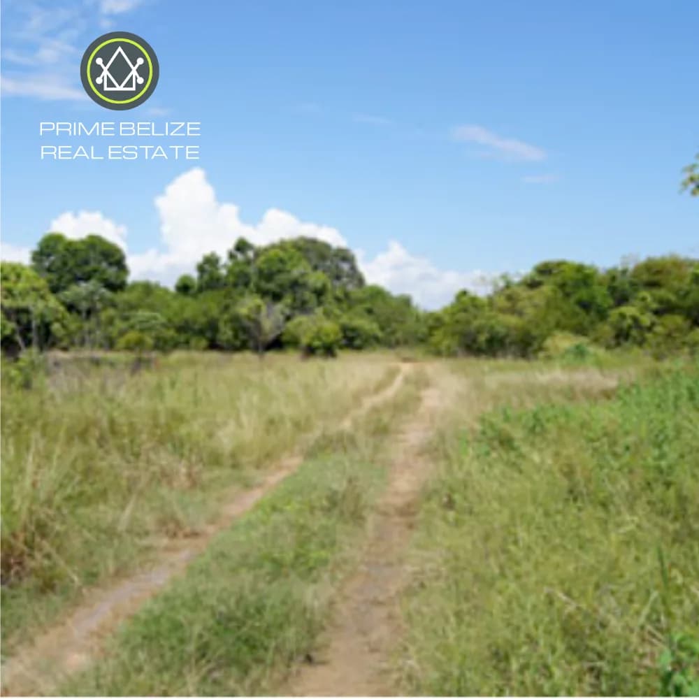 PF0068 – Rare Seafront Opportunity in Toledo District, Belize - Photo 3