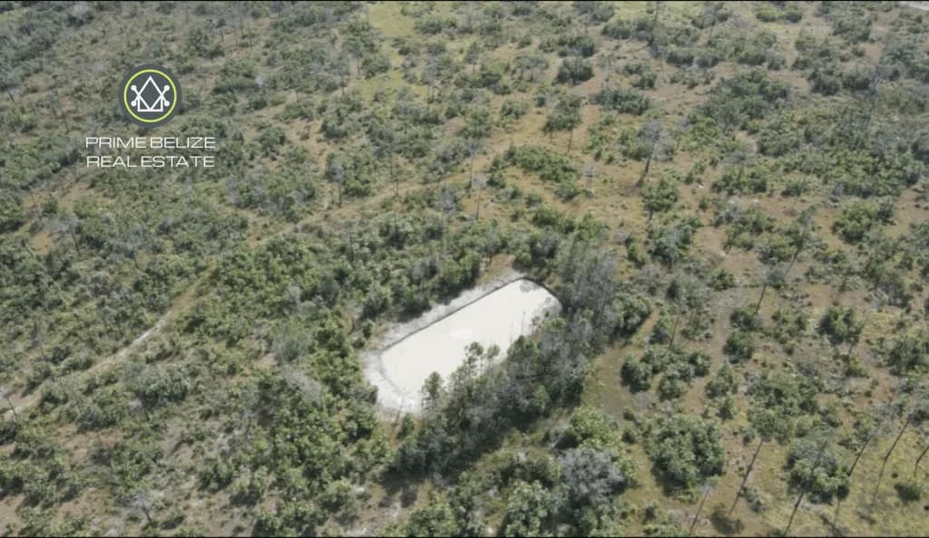 PF0060 – 50+ Acres of Fertile Farmland in the Cayo District, Belize