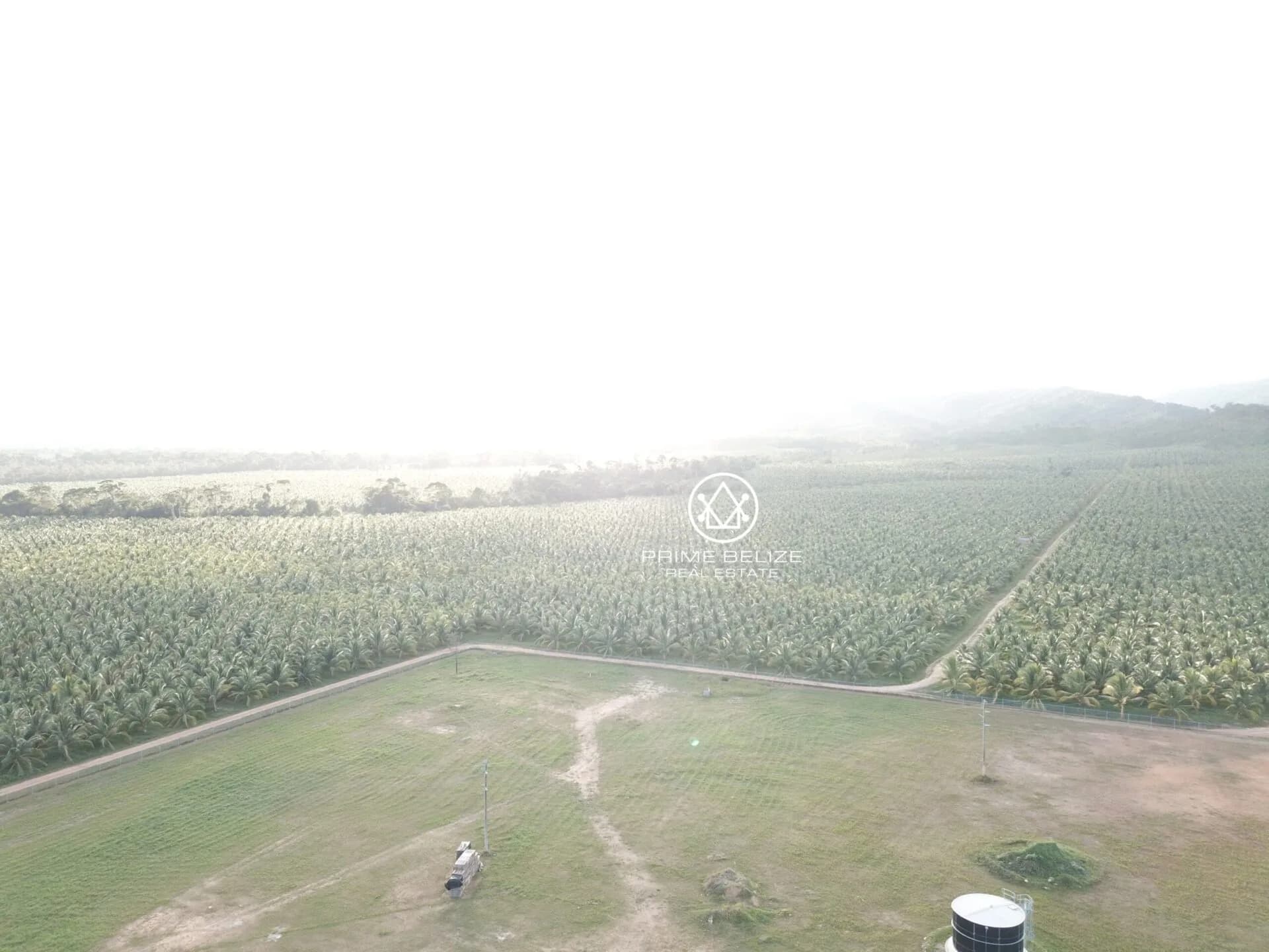 PF0058 – TexStar Farm – 820 Acres of Prime Agricultural Land – Southern Highway - Photo 6