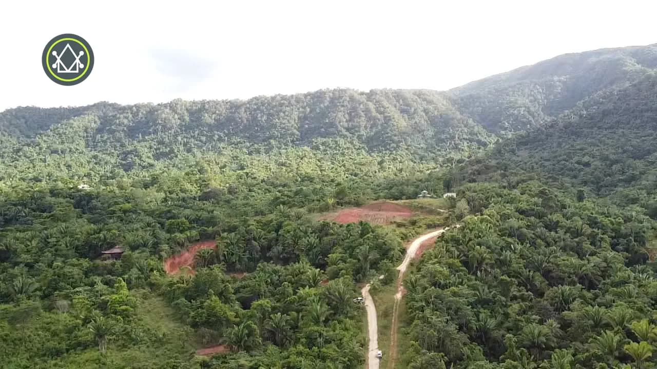 PF0038 – 30 Acres Hummingbird Highway - Photo 3