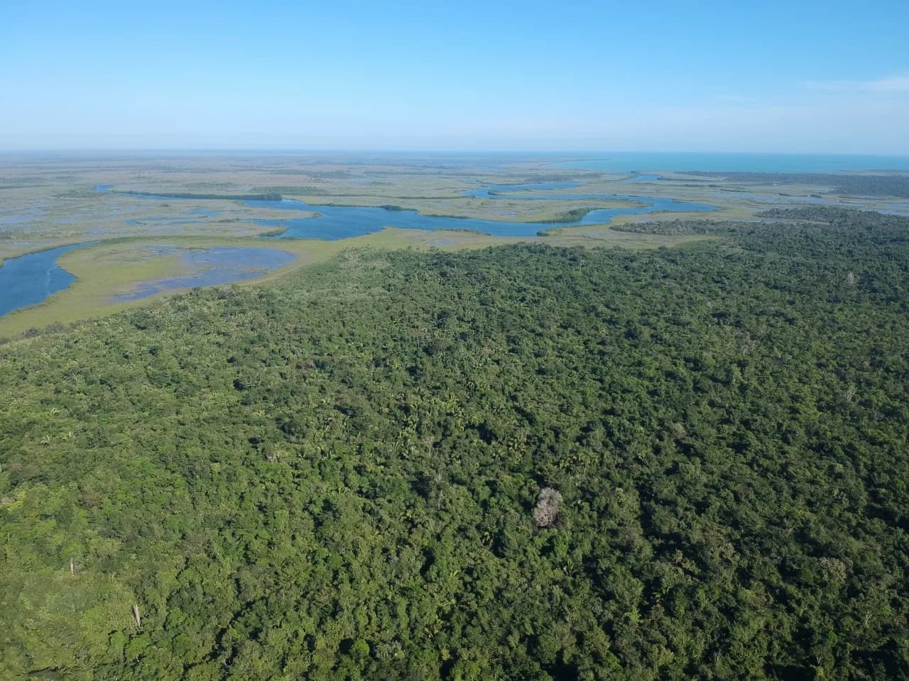 PF0030 – 7,000 Acres of Prime Farmland for Sale in Toledo! - Photo 7