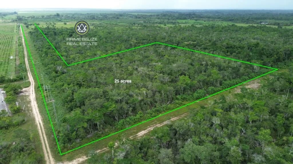 PF0064 – High-Potential 25-Acre Farmland – Just 10 Minutes from Dangriga