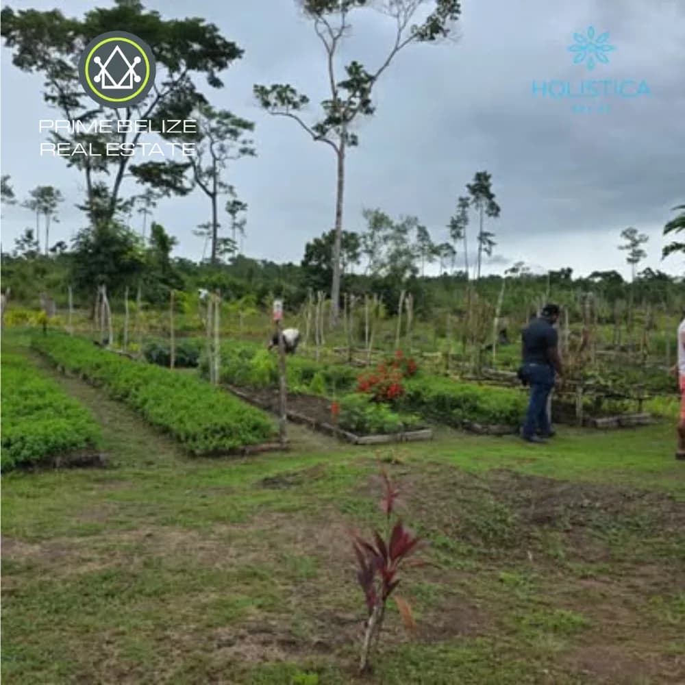 PL0248 – Build Your Belize Dream in a Wellness-Focused, Nature-Centered Community, Holistica Belize - Photo 7