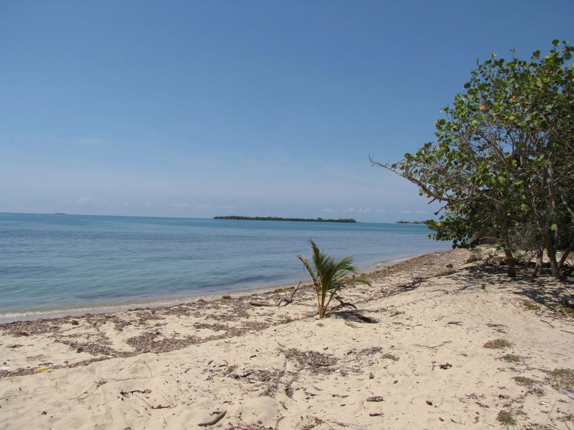 PL0109 – BEACHFRONT DEVELOPMENT – 350+ ft – DISCREET SALE - Photo 3