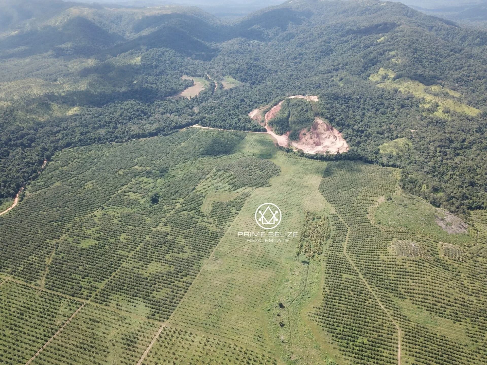 PF0042 – 966 ACRES COCONUTS AND OTHER PRODUCING CROP – STANN CREEK BELIZE - Photo 5