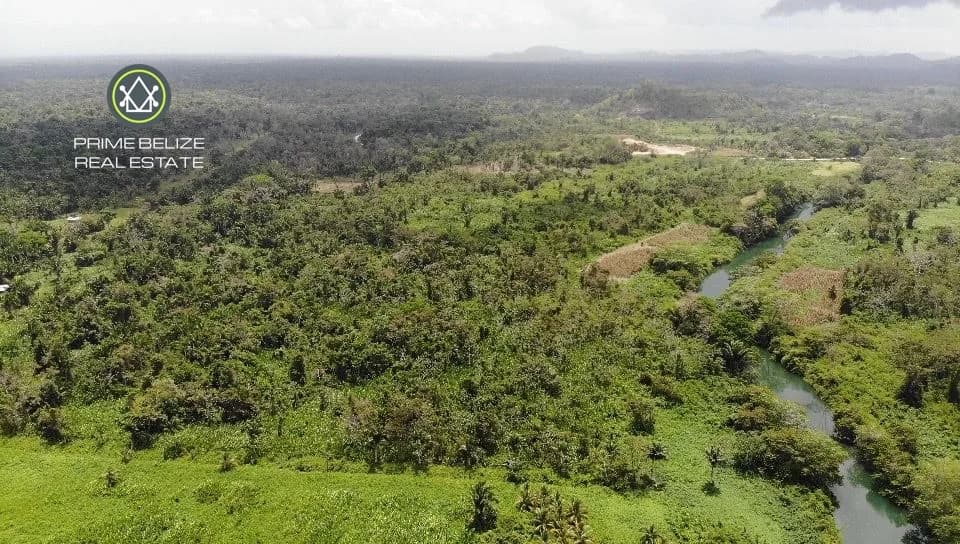 PF0062 – 97-Acre Riverside Oasis on the Moho River – Toledo District, Belize - Photo 4