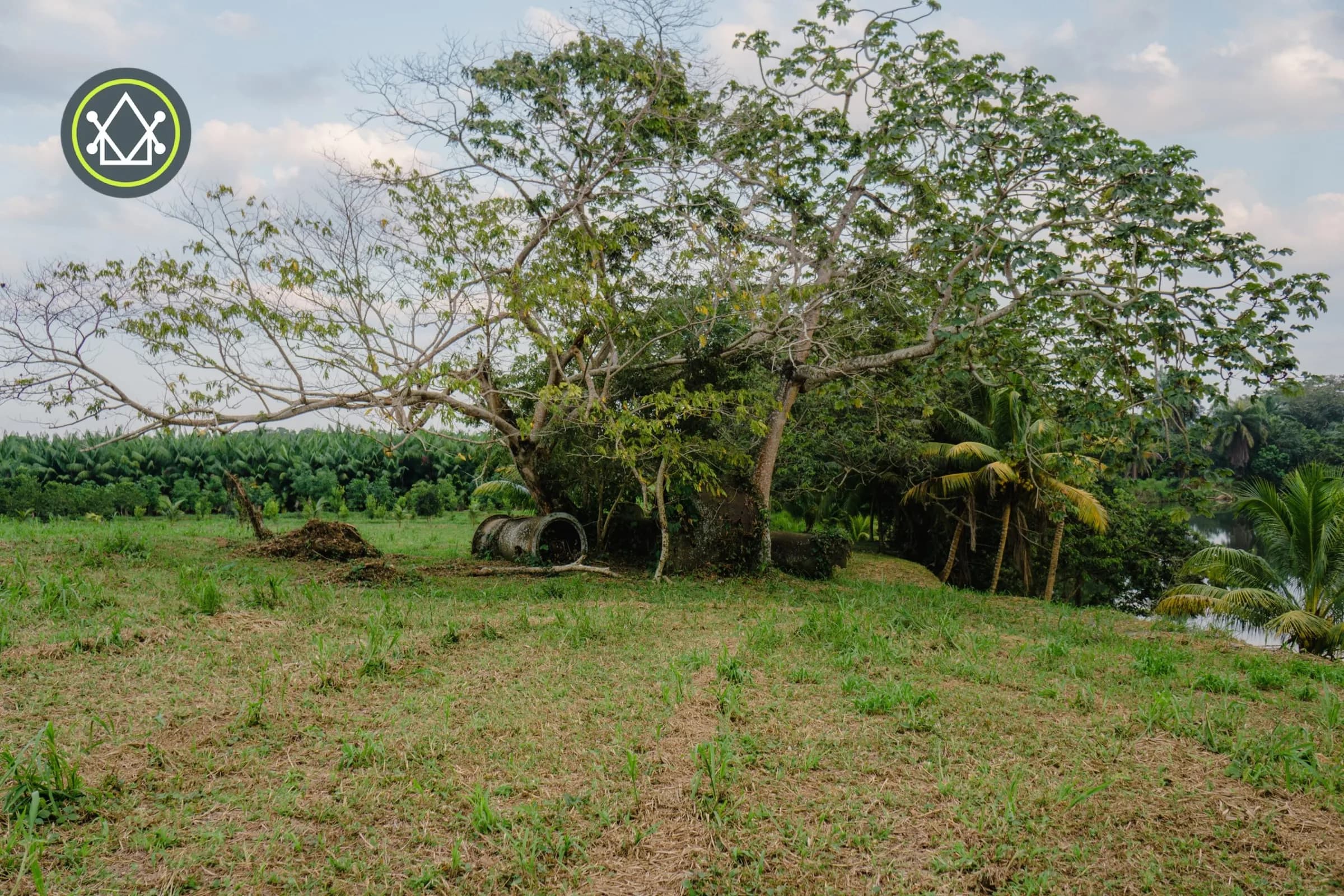 PL0035 – 21 acres on Sittee River with a 1800’s sugar mill – Subdivided into 12 Lots! - Photo 7
