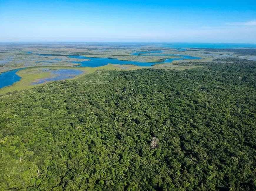 PF0030 – 7,000 Acres of Prime Farmland for Sale in Toledo!