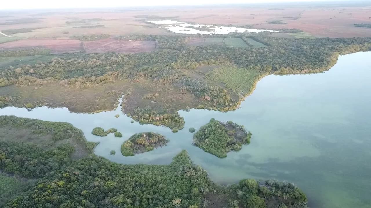 PL0069 – Progresso 16.48 acres waterfront - Photo 4