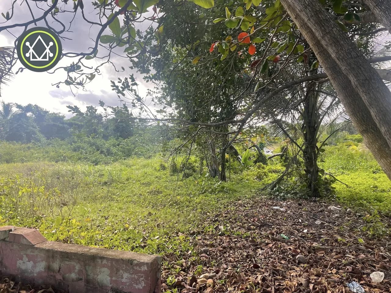 PL0055 – 1 Acre Beachfront Lot North Side Hopkins - Photo 7