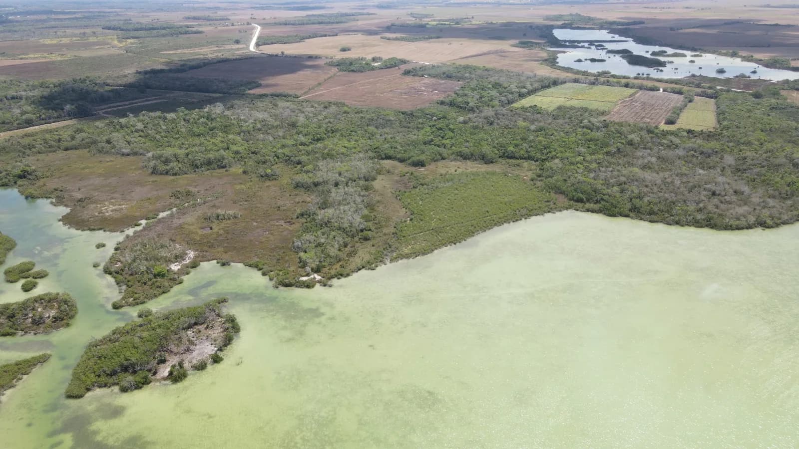 PL0069 – Progresso 16.48 acres waterfront - Photo 3