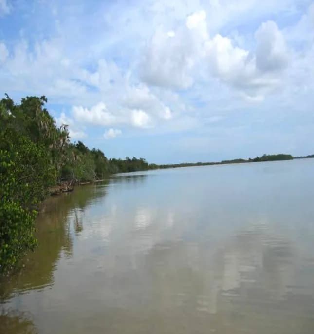 PL0195 – Colson Point – Exclusive 100 Acres of Prime Beach & Lagoon Front Land - Photo 4