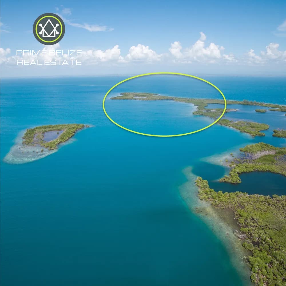 PI0053 – Nine Adjacent Parcels – Lark Caye Range, 5 miles east of Placencia Village – Stann Creek - Photo 5