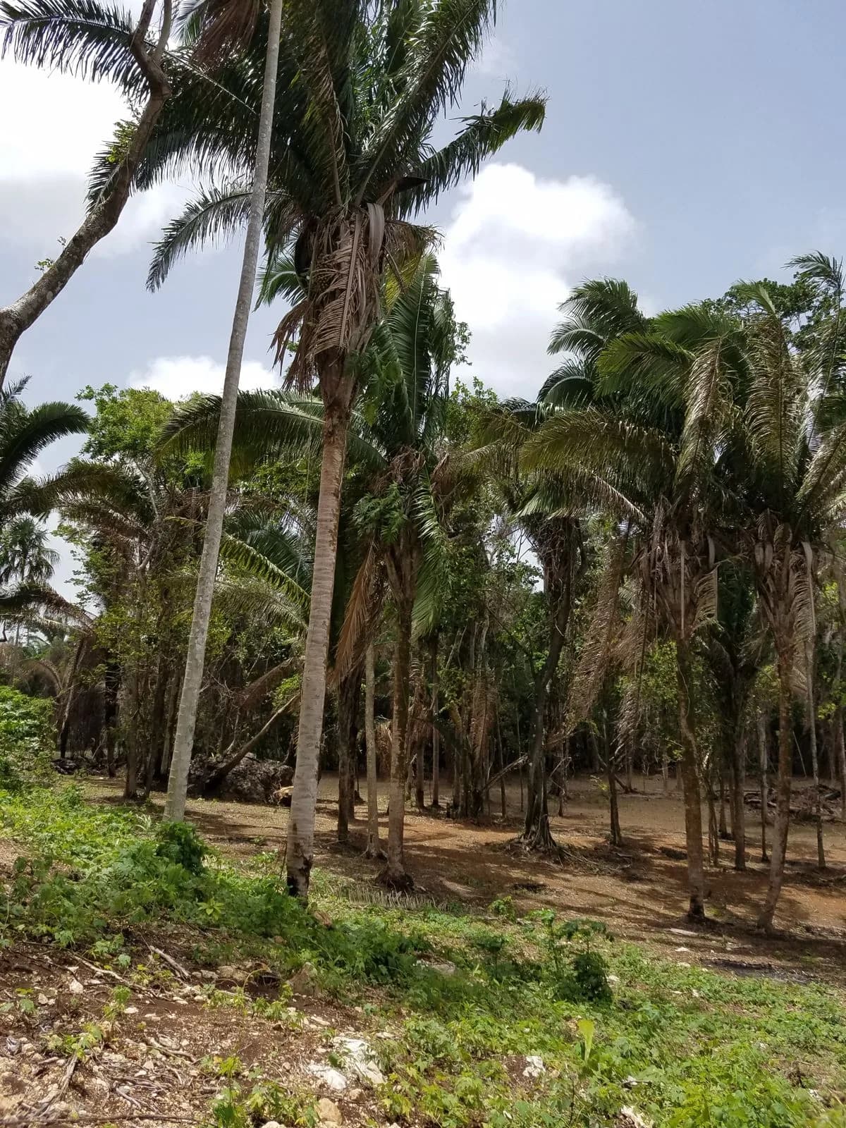 PF0031 – Discover the Potential of this 65 Acres Unique Property - Photo 2