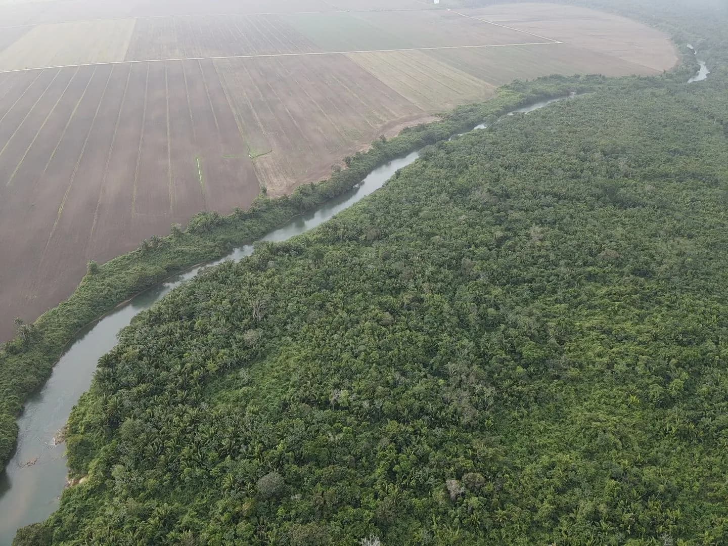 PF0010 – Fertile Farmland 9,207.85 Acres for Sale in Belize – Only $1,200 USD per Acre! - Photo 5